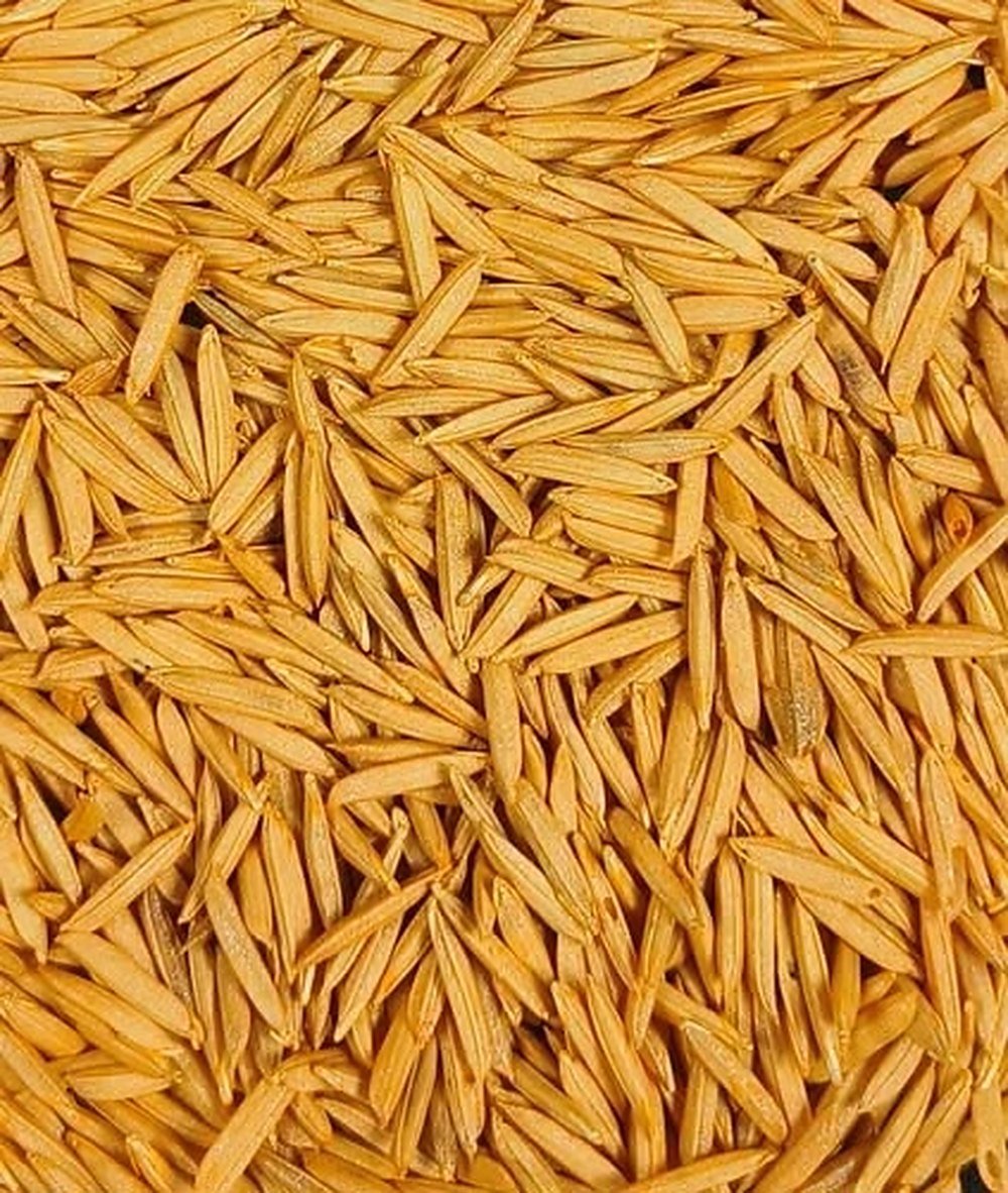 Paddy seed coated in golden yellow polymer