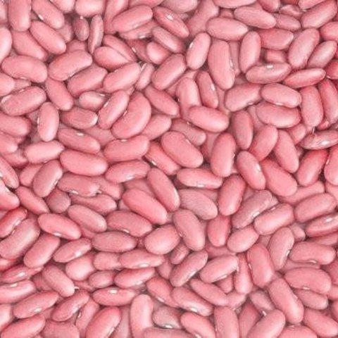 Vivid Pink coated seed